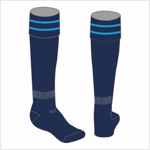 Cumbria Referees Society NAVY Match Socks